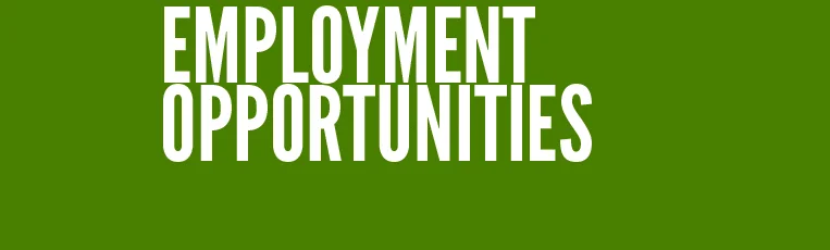Employment.webp